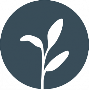 Sage Green - Sustainability and innovation management