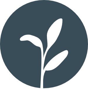 Sage Green - Sustainability and innovation management