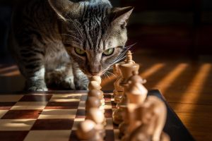 Structured innovation strategy