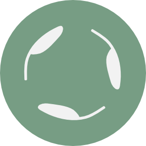 Sustainability with Sage Green