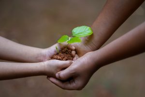 Sustainability stakeholders